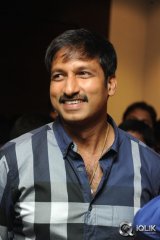 Loukyam Movie Platinum Disc Function